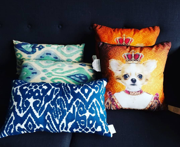Thrifted blue zebra print pillow with teal pillow set behind and bright orange dog pillow set beside